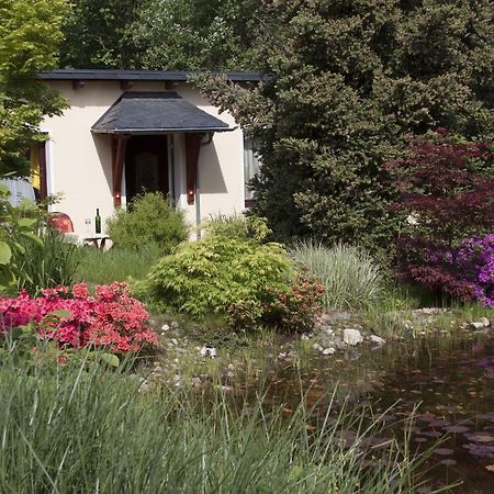 Ferienhaus "Am Waldsaum" Lägenhet Kurort Gohrisch Exteriör bild