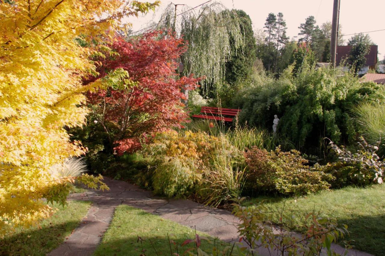 Ferienhaus Und Ferienwohnung "Am Waldsaum" Kurort Gohrisch Exteriör bild