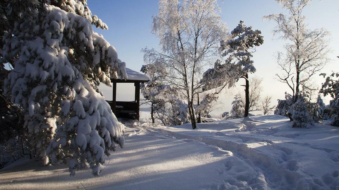 Ferienhaus "Am Waldsaum" Lägenhet Kurort Gohrisch Exteriör bild